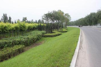 环境治理绿化工程