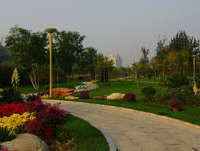微信截图_20201103093235