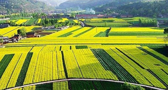 微信截图_20210419083151